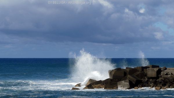 P1110068_600x338