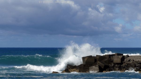 P1110092_600x338