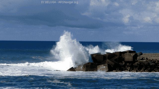 P1110207_640x360