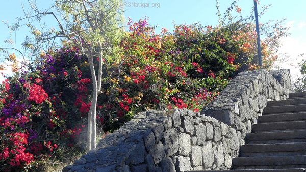 P1110223_600x338