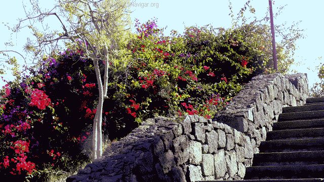 P1110223_640x360