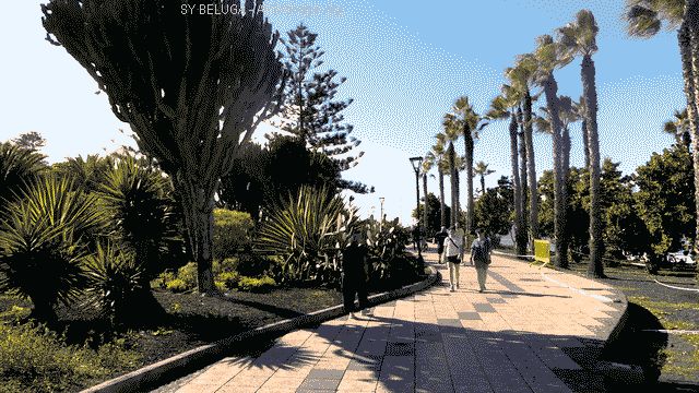 P1110229_640x360