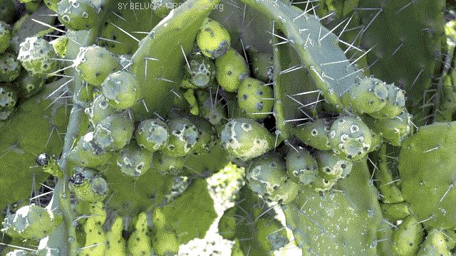 P1110230_640x360