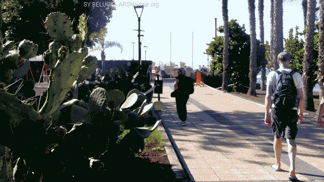 P1110231_640x360