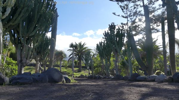 P1110233_600x338