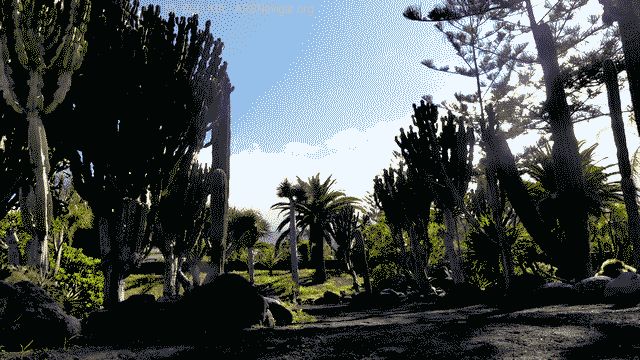 P1110234_640x360