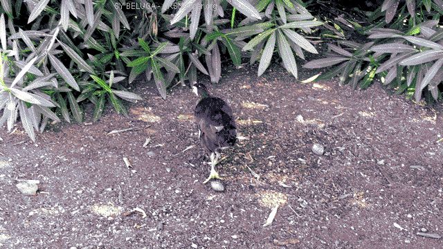 P1110338_640x360