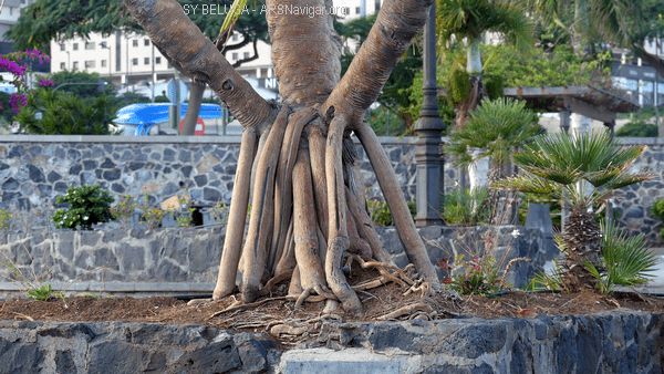 P1110351_600x338