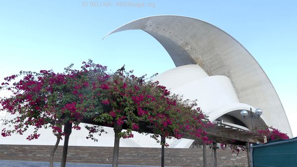 P1110353_600x338