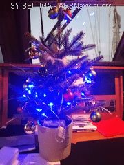 unser_christbaum_180x240