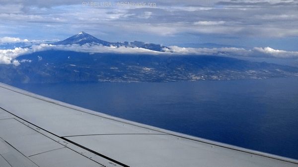 DSC05374_600x338