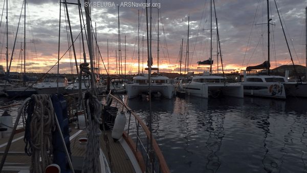DSC05378_600x338