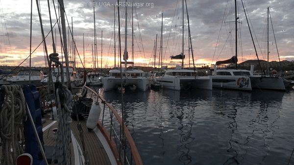 DSC05379_600x338