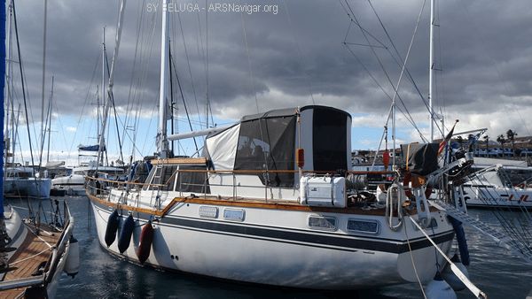 DSC05387_600x338
