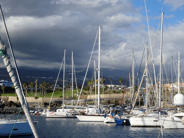 DSC05389_600x450