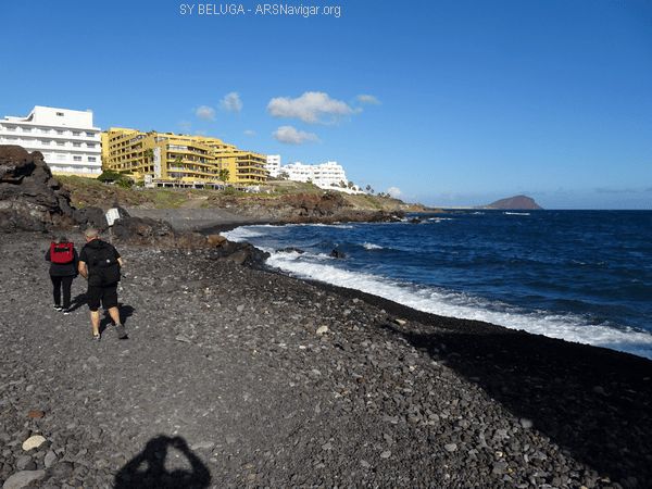 DSC05390_600x450