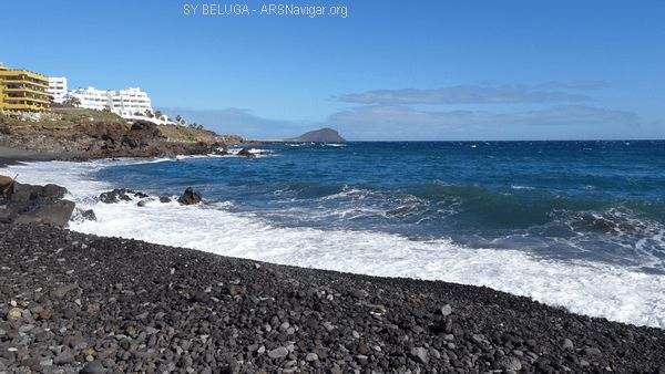 DSC05397_600x338