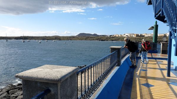 DSC05399_600x338