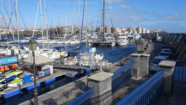 DSC05401_600x338