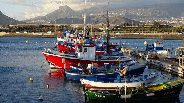 DSC05406_600x338