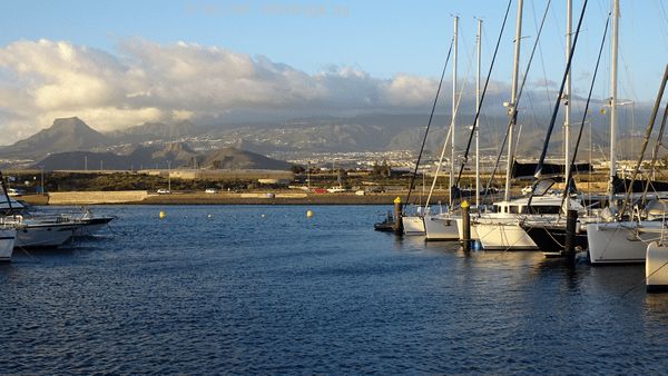 DSC05407_600x338