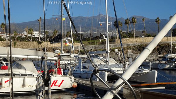 DSC05408_600x338