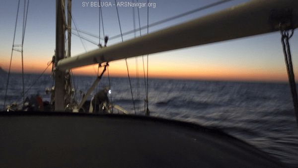 DSC05417_600x338