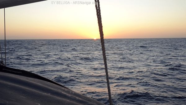 DSC05424_600x338