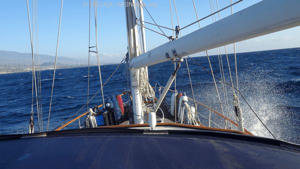 DSC05428_600x338