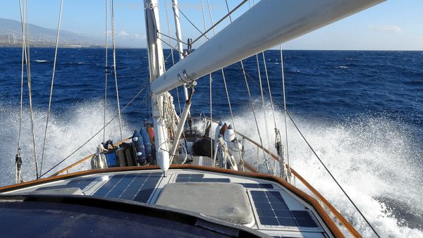 DSC05430_600x338