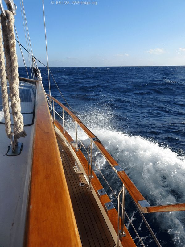 DSC05433_600x800