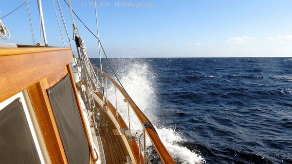 DSC05441_600x338