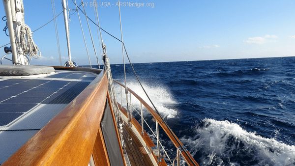 DSC05442_600x338