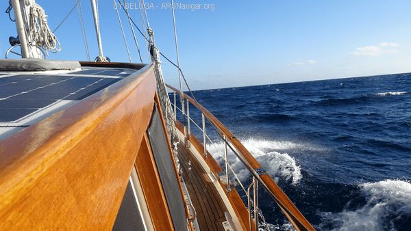 DSC05443_600x338