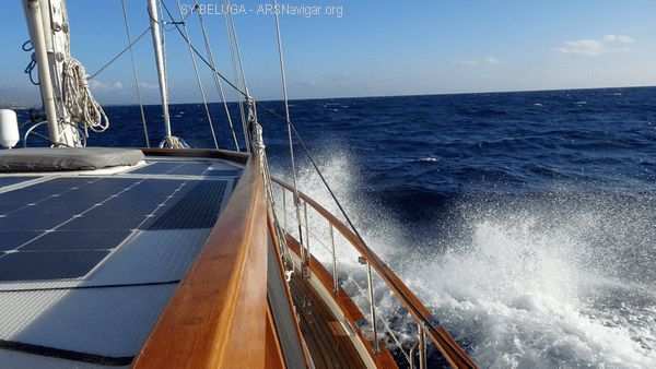 DSC05444_600x338