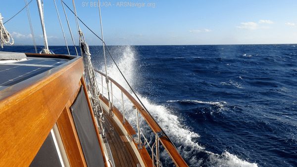 DSC05446_600x338