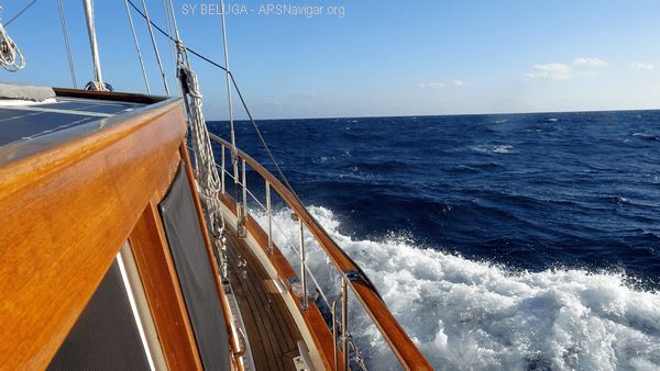 DSC05447_600x338