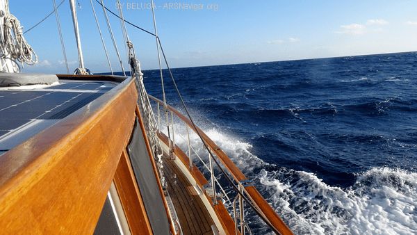 DSC05448_600x338