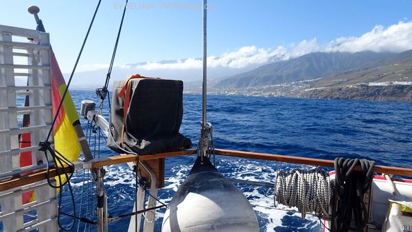 DSC05455_600x338