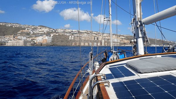 DSC05459_600x338