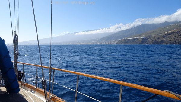 DSC05463_600x338