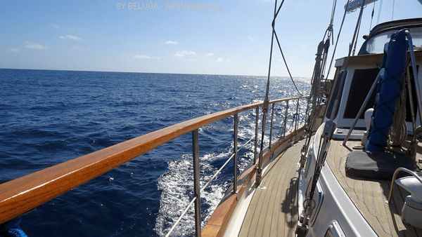 DSC05466_600x338