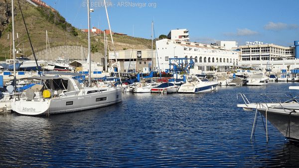 DSC05469_600x338