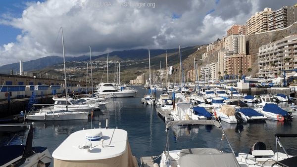DSC05473_600x338