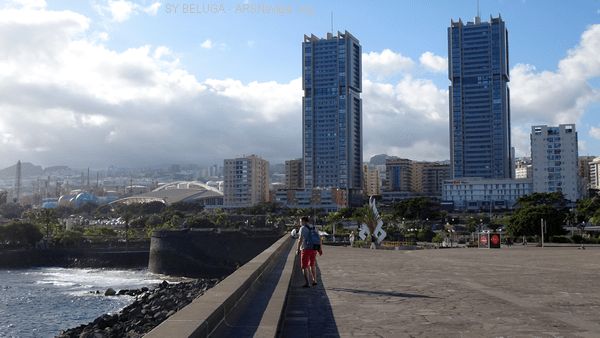 DSC05487_600x338