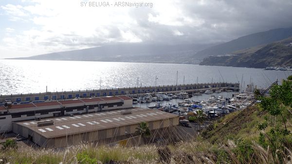 DSC05520_600x338