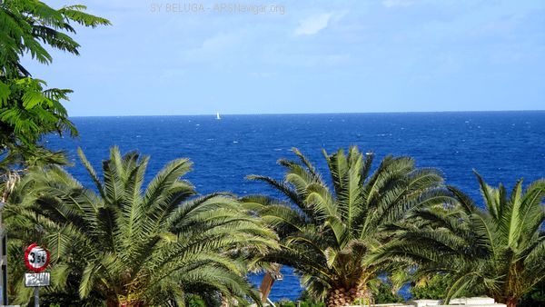 DSC05522_600x338