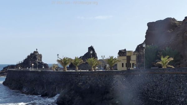 P1110460_600x338