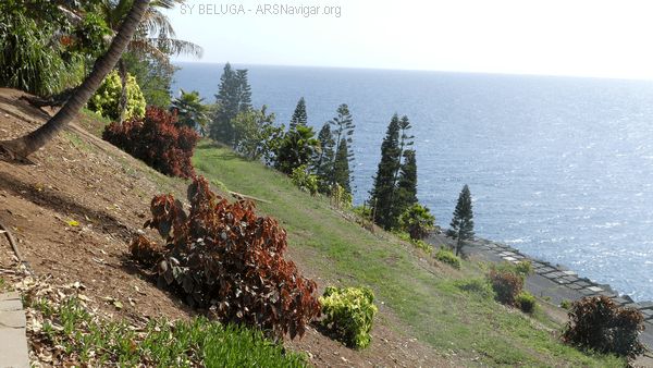 P1110530_600x338
