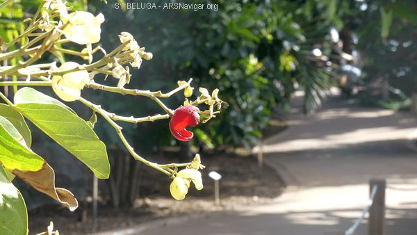 P1110538_600x338